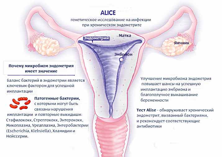 Тест Alise в Клиническом госпитале на Яузе