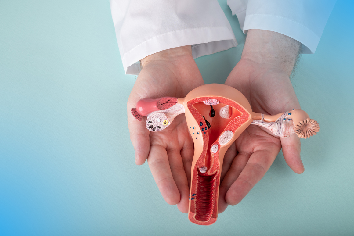 Лапароскопическая операция по поводу бесплодия, аппендэктомия 