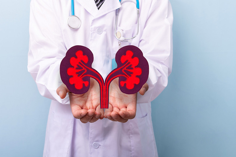 Эффективное лечение кисты почки